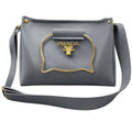 Gray Elegant Cat Handle Handbag for Girls & Ladies | Stylish Shoulder & Crossbody Bag with Gold Accents | Adjustable Strap